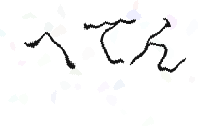 画像認証